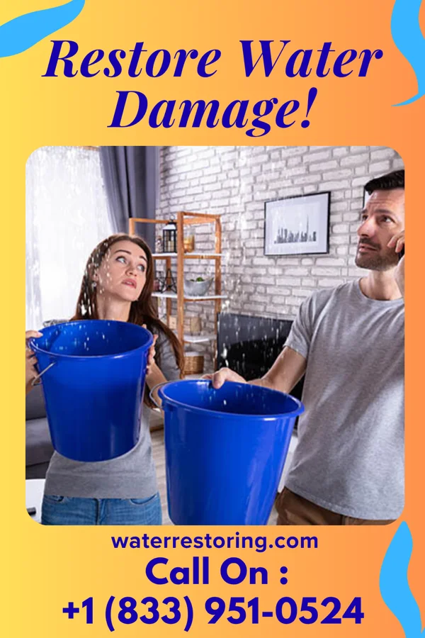 water restoration Empire Flood LLC Washington